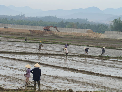 Thủy điện chịu xả nước, nông dân nô nức ra đồng
