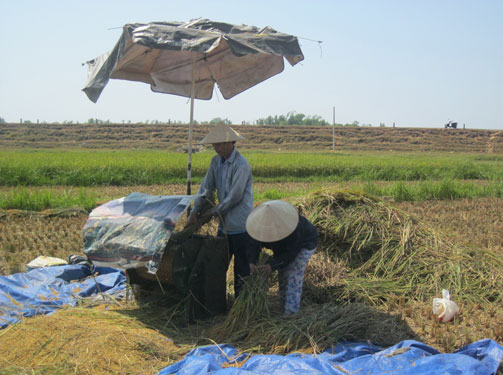 Nắng thiêu đốt miền Trung