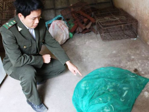 Rắn độc “đi cùng” hành khách