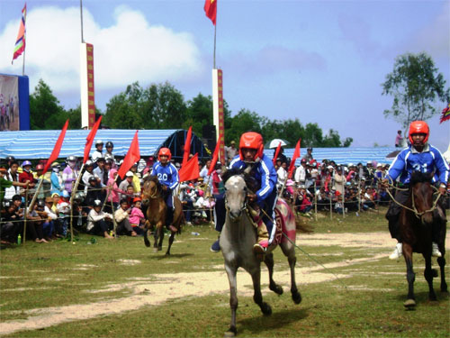 Cười "vỡ bụng" ở hội đua ngựa Phú Yên