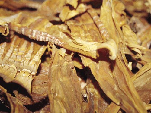 Cách phát hiện măng khô ngậm lưu huỳnh