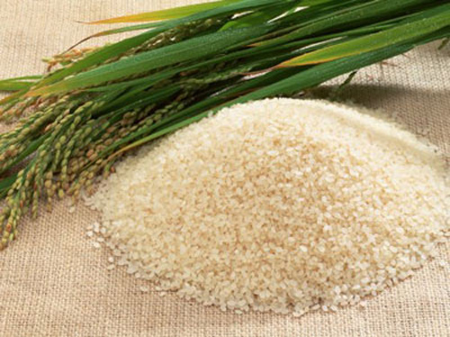 B1, đúng là số một