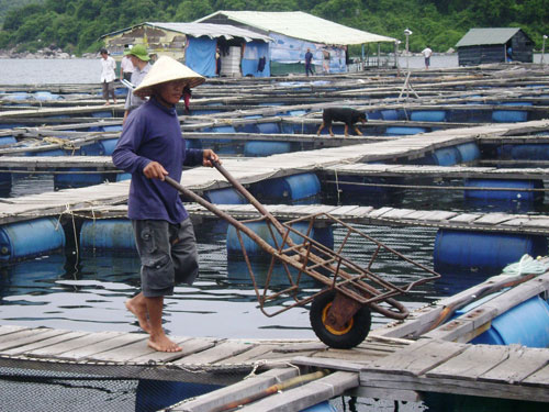 Người Trung Quốc “lọt sổ” quá dễ