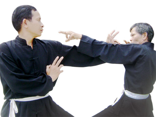 Xà quyền bí kíp