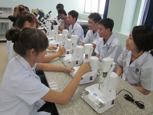 Yếu kỹ năng, ngoại ngữ