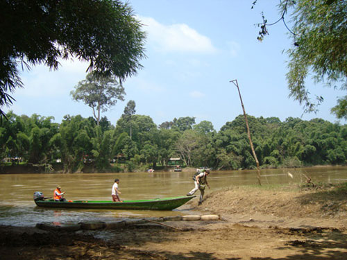 Khắc khoải rừng Cát Tiên