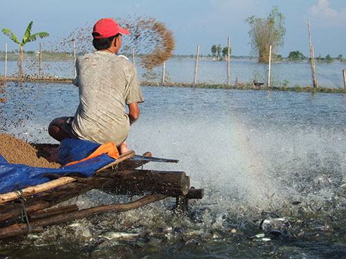Thủy sản khó trong lẫn ngoài