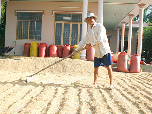 Tăng thời hạn mua tạm trữ lúa, gạo