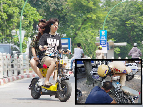 Quá sợ “bò điên”!