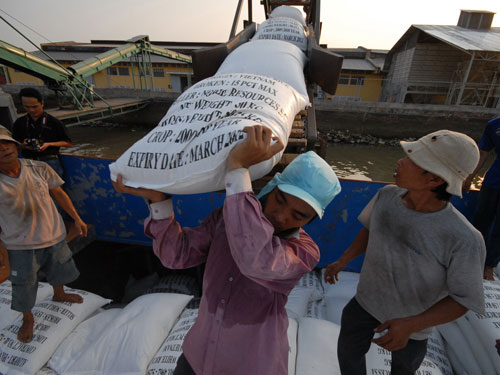 Thị trường lúa gạo gặp khó