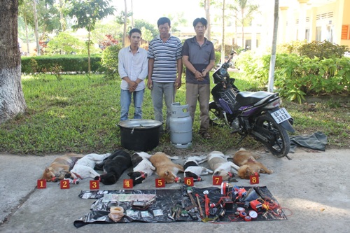 Một đêm trộm 8 con chó