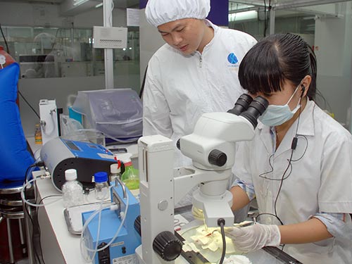 Bài báo khoa học quốc tế: Quá hiếm