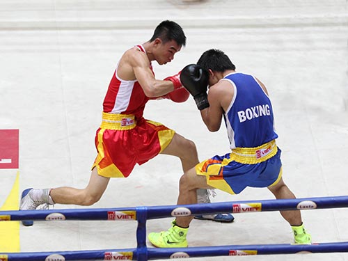 Niềm hy vọng vàng từ boxing