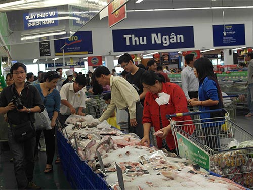 Tôm, cá... sẽ bơi xa nhờ VietGAP