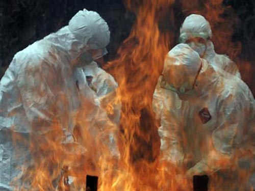 Cúm A/H5N1 nguy hiểm nhưng dễ ngừa