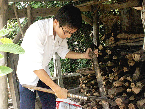 54 thí sinh thi hai trường đạt 27 điểm trở lên