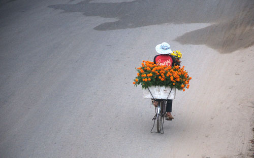 Lam lũ mưu sinh ngày Xuân