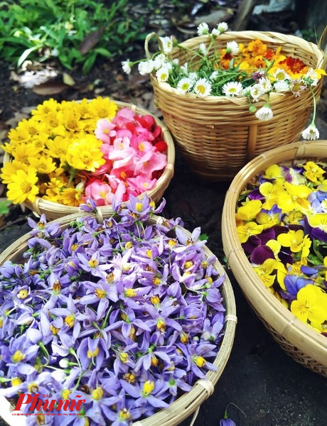 Hoa tươi sử dụng l&agrave;m b&aacute;nh.