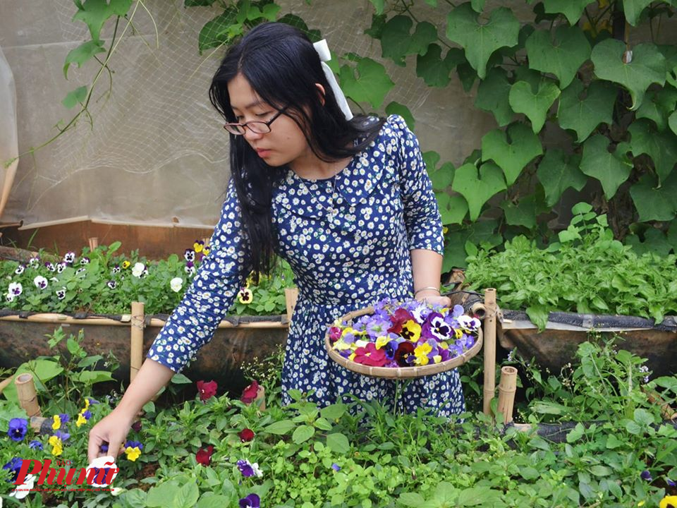 Những g&igrave; Vy đang l&agrave;m đều hướng đến một cuộc sống nhẹ nh&agrave;ng, thư th&aacute;i.
