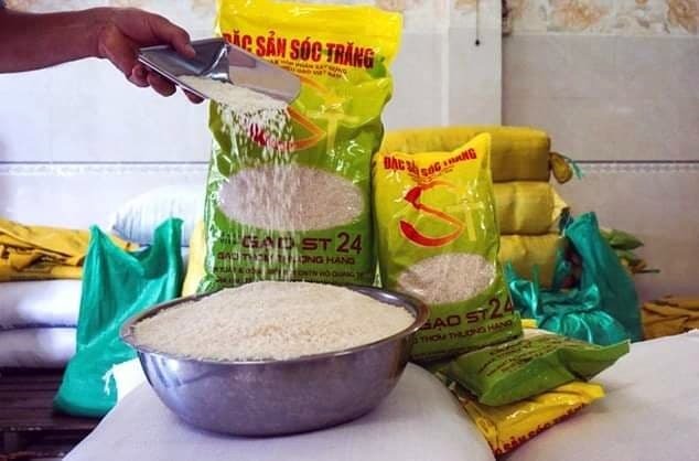 hai loại gạo ST24 v&agrave; ST25 của Việt Nam đ&atilde; bị 5 DN Mỹ đăng k&yacute; bản quyền ở Mỹ.