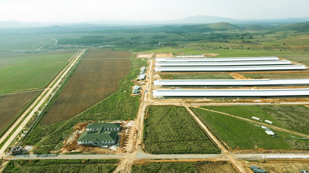 Tổ hợp trang trại tại L&agrave;o của Vinamilk đ&atilde; ho&agrave;n thiện c&aacute;c hạng mục x&acirc;y dựng cơ bản của cụm trang trại đầu ti&ecirc;n, dự kiến đi v&agrave;o hoạt động v&agrave;o đầu năm 2022