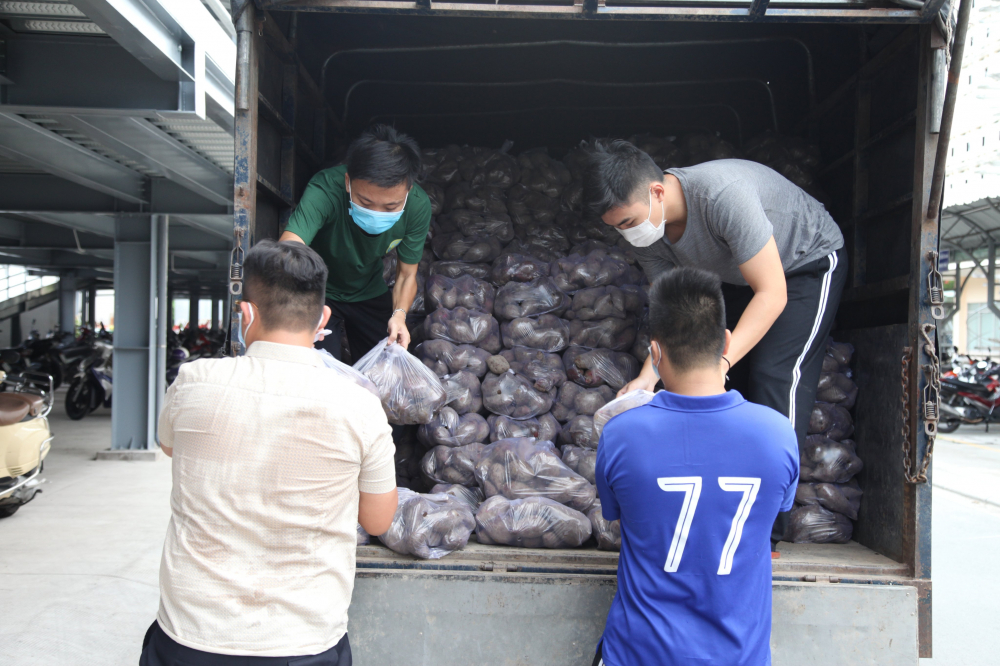 C&ugrave;ng chung l&ograve;ng b&aacute;n v&agrave; mua gi&uacute;p khoai lang t&iacute;m cho b&agrave; con n&ocirc;ng d&acirc;n tỉnh Đồng Th&aacute;p. 