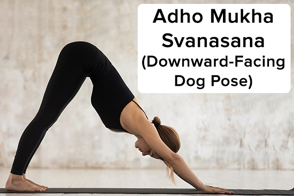 3. Adho mukha svanasana (ch&oacute; hướng xuống) adho mukha svanasana (tư thế ch&oacute; quay mặt xuống) Bắt đầu bằng c&aacute;ch c&uacute;i người bằng bốn ch&acirc;n để đảm nhận vị tr&iacute; tr&ecirc;n mặt b&agrave;n. Thở ra v&agrave; từ từ n&acirc;ng h&ocirc;ng l&ecirc;n đồng thời duỗi thẳng khuỷu tay v&agrave; đầu gối để cơ thể giống như h&igrave;nh chữ V ngược , v&agrave; c&aacute;c ng&oacute;n ch&acirc;n của bạn n&ecirc;n hướng ra ngo&agrave;i. Đẩy l&ograve;ng b&agrave;n tay xuống đất v&agrave; duỗi thẳng cổ. Hướng &aacute;nh nh&igrave;n về ph&iacute;a rốn của bạn. Giữ nguy&ecirc;n tư thế n&agrave;y trong v&agrave;i gi&acirc;y. Thả tư thế bằng c&aacute;ch uốn cong đầu gối của bạn v&agrave; trở lại vị tr&iacute; ban đầu.
