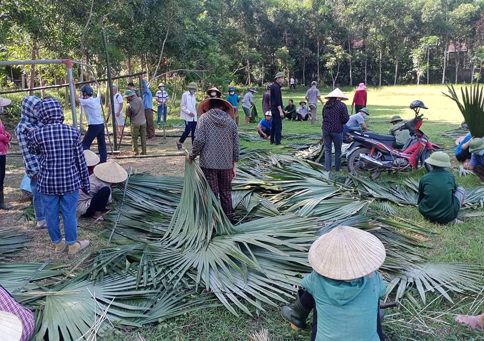 Kh&ocirc;ng những tiết kiệm chi ph&iacute;, người d&acirc;n cho hay d&ugrave;ng l&aacute; cọ l&agrave;m ph&ograve;ng c&aacute;ch ly c&ograve;n gi&uacute;p tr&aacute;nh nắng n&oacute;ng tốt hơn nhiều vật liệu kh&aacute;c