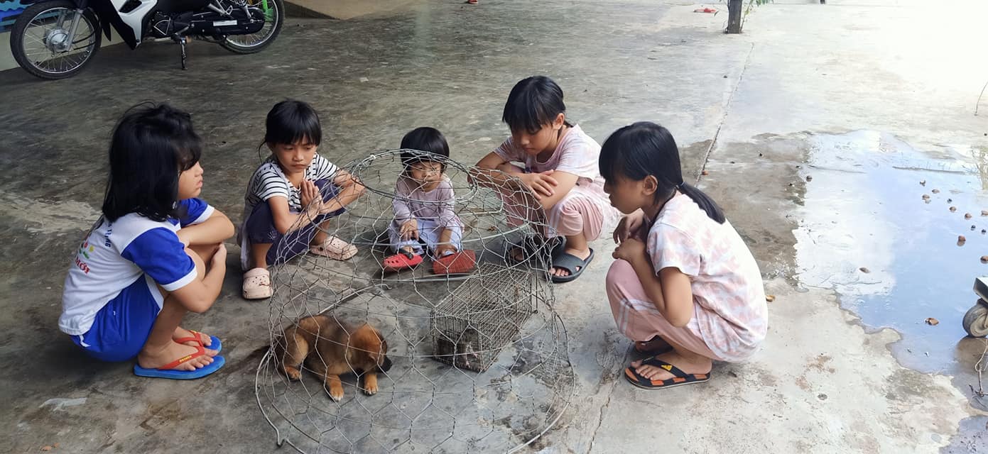 Mắc kẹt ở qu&ecirc; v&igrave; dịch n&ecirc;n con c&oacute; một m&ugrave;a h&egrave; đ&uacute;ng nghĩa