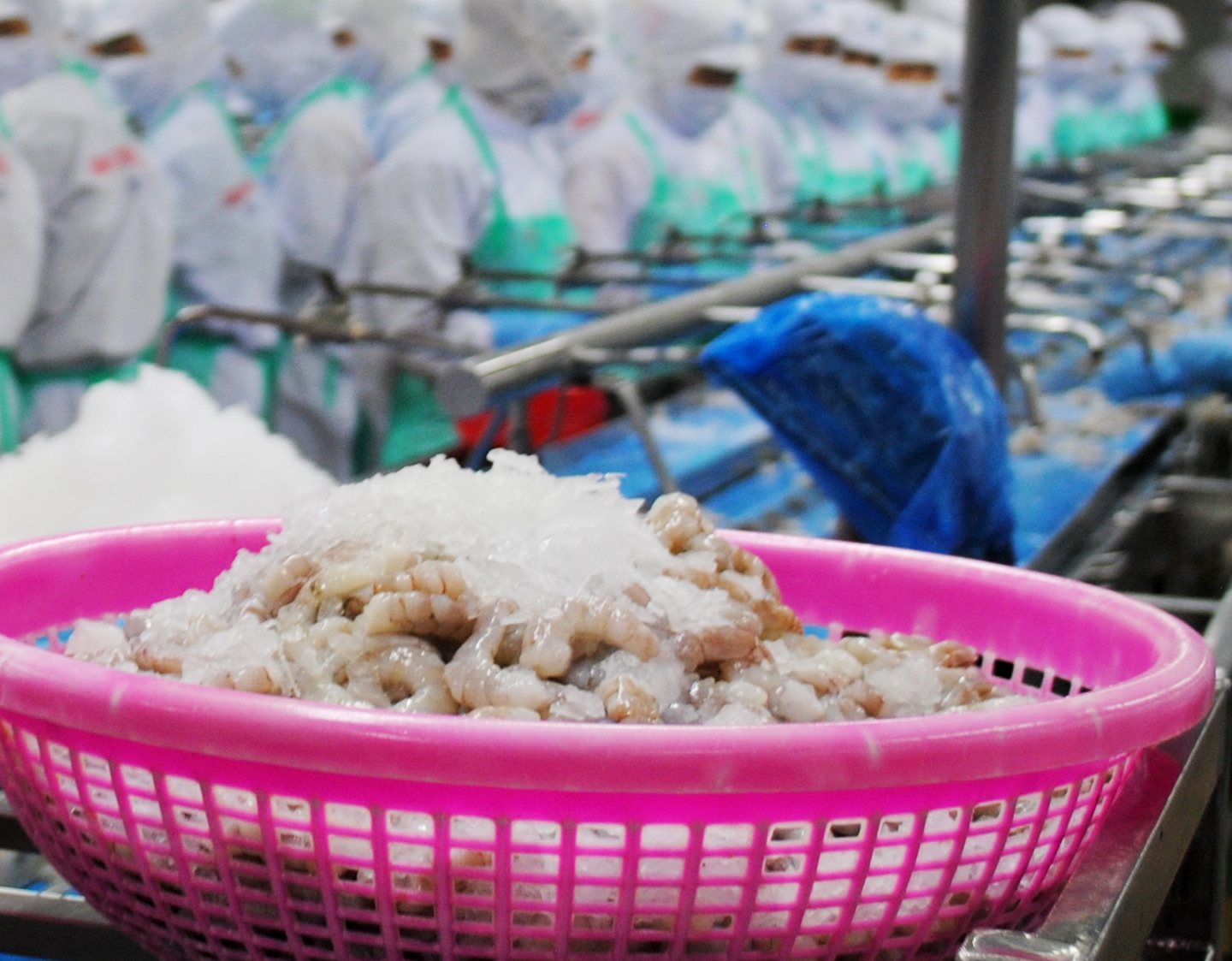 Một c&ocirc;ng ty thủy sản ở C&agrave; Mau vi phạm ph&ograve;ng chống dịch COVID-19. Ảnh minh họa.