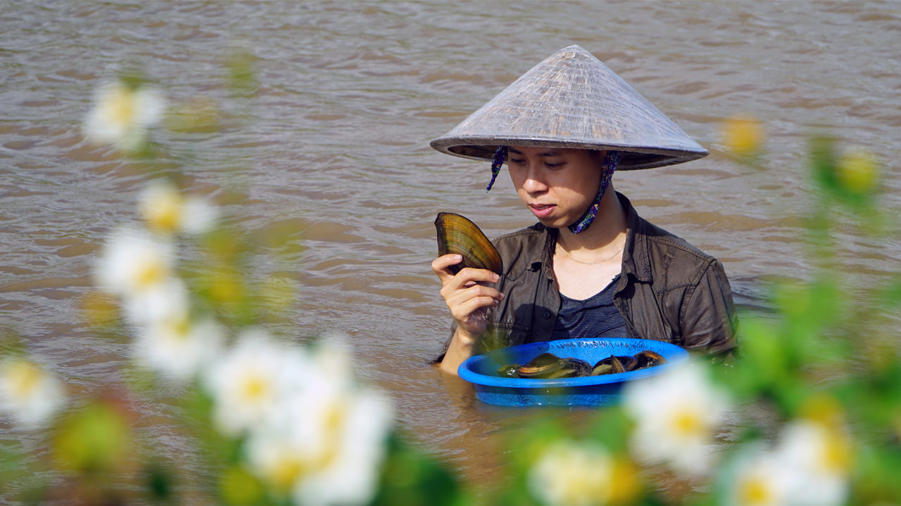 T&ocirc; Tiểu Tường lặn ngụp m&ograve; trai