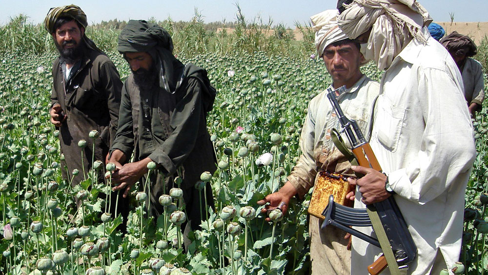 Taliban