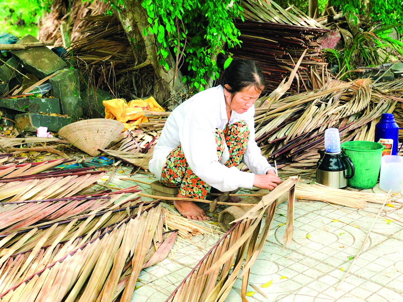 Những tấm l&aacute; lợp được b&aacute;n với gi&aacute; 35.000 đồng
