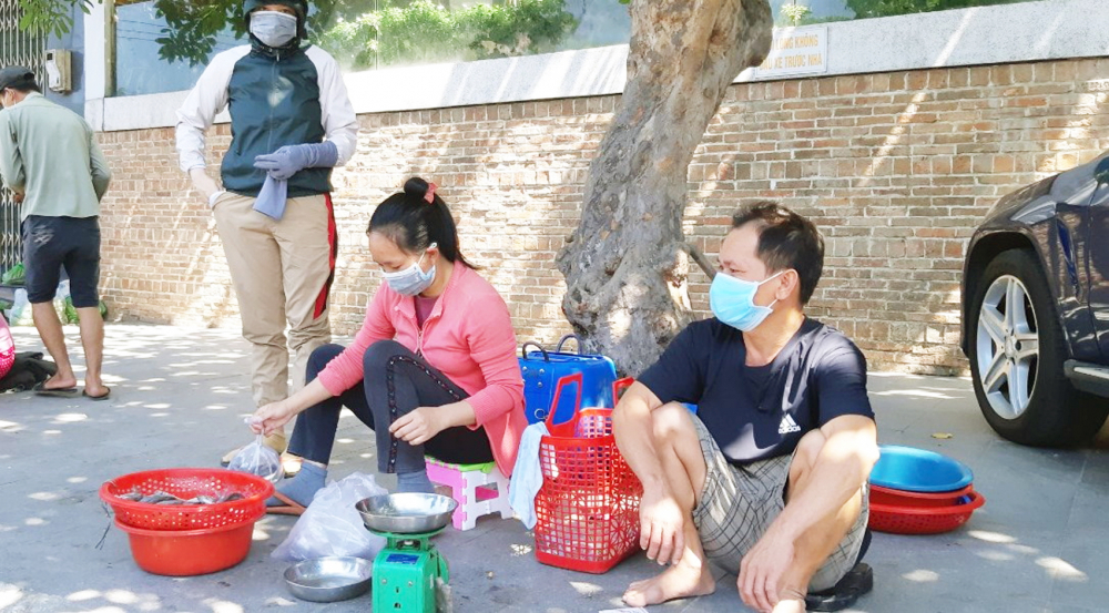 Nhiều t&agrave;u nhỏ đ&aacute;nh bắt c&aacute; gần bờ chỉ được số lượng &iacute;t v&agrave; b&aacute;n loanh quanh trong khu vực hẹp