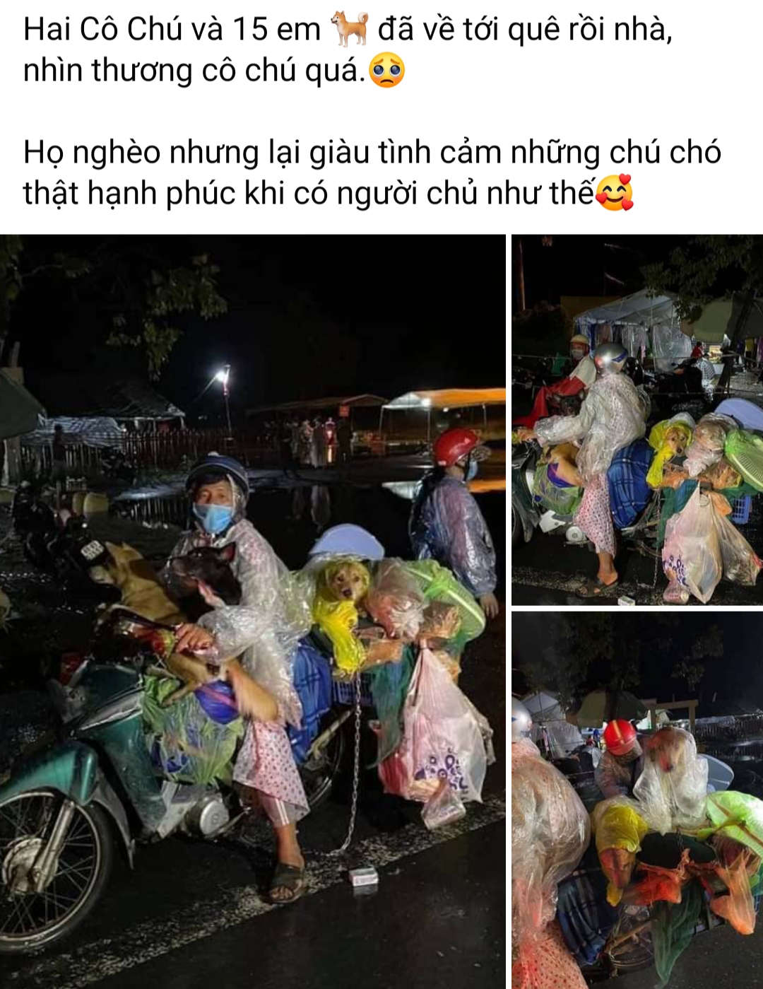 H&Igrave;nh ảnh đ&ocirc;i vợ chồng về C&agrave; Mau tr&aacute;nh dịch c&ugrave;ng 15 ch&uacute; ch&oacute; được cộng đồng mạng chia sẻ ch&oacute;ng mặt.