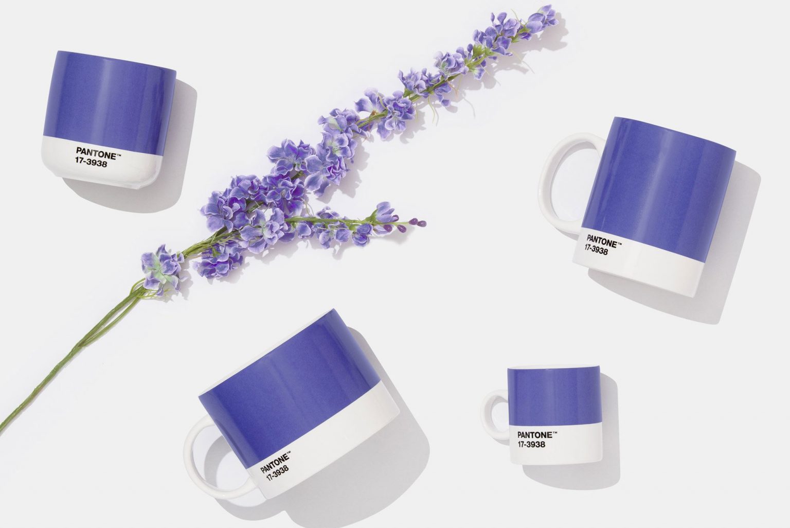 M&agrave;u của năm 2022 gần với m&agrave;u của hoa lavender.