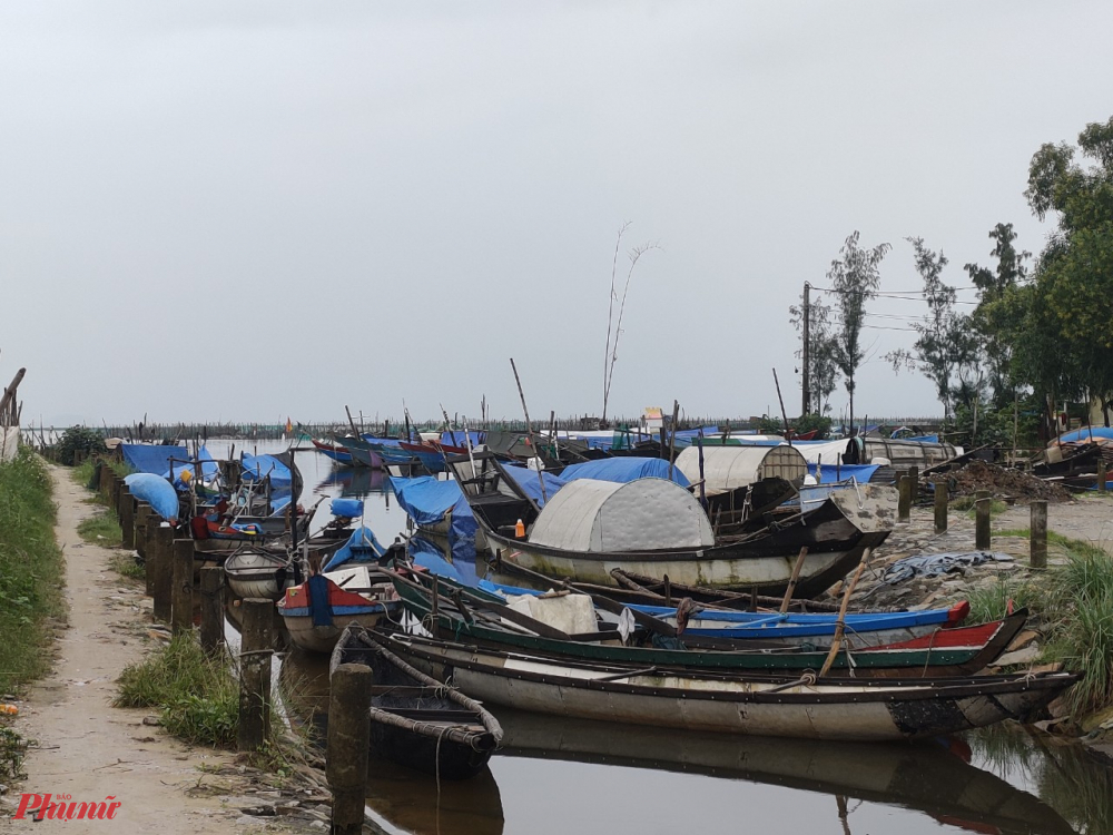 Nhiều t&agrave;u thuyền đ&aacute;nh bắt hải sản của ngư d&acirc;n th&ocirc;n Hiền An 2 tr&ecirc;n đầm Cầu Hai trong s&aacute;ng 19/12 đ&atilde; v&agrave;o tr&aacute;nh tr&uacute; b&atilde;o an to&agrave;n