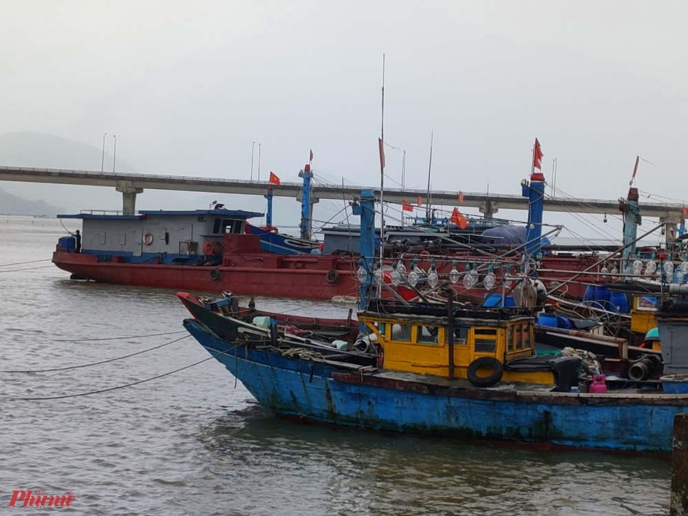Thời điểm n&agrave;y, tất cả địa phương tr&ecirc;n to&agrave;n tỉnh đ&atilde; tiến h&agrave;nh r&agrave; so&aacute;t, c&oacute; phương &aacute;n sơ t&aacute;n d&acirc;n v&ugrave;ng ven biển, đầm ph&aacute;