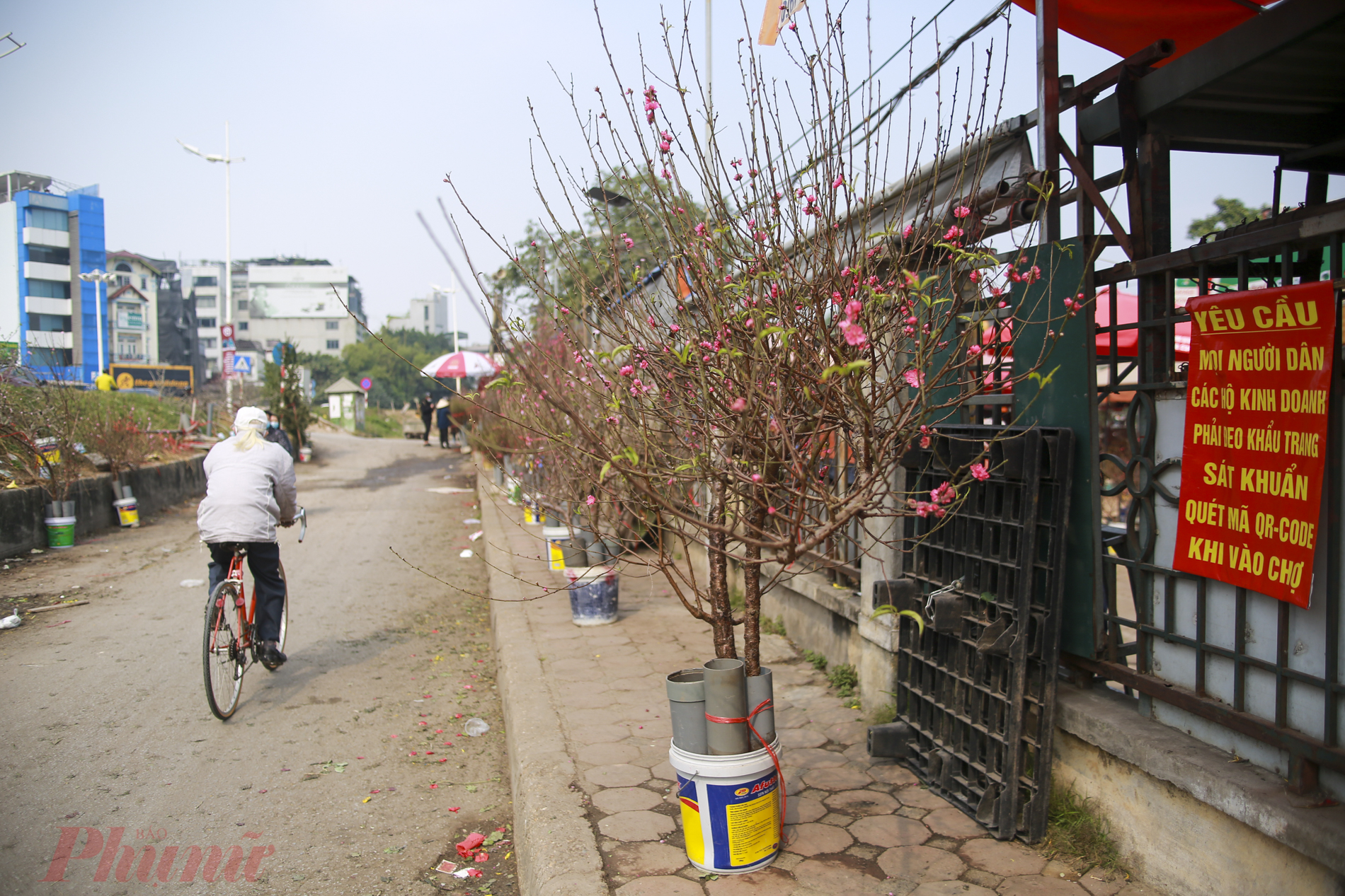 Tuy năm nay kh&oacute; khăn v&igrave; dịch Covid-19 nhưng d&ugrave; thế n&agrave;o đi nữa, những c&agrave;nh đ&agrave;o vẫn l&agrave; thứ kh&ocirc;ng thể thiếu mỗi dịp Tết, v&igrave; thế c&aacute;c tiểu thương nơi đ&acirc;y vẫn hi vọng b&aacute;n được h&agrave;ng.