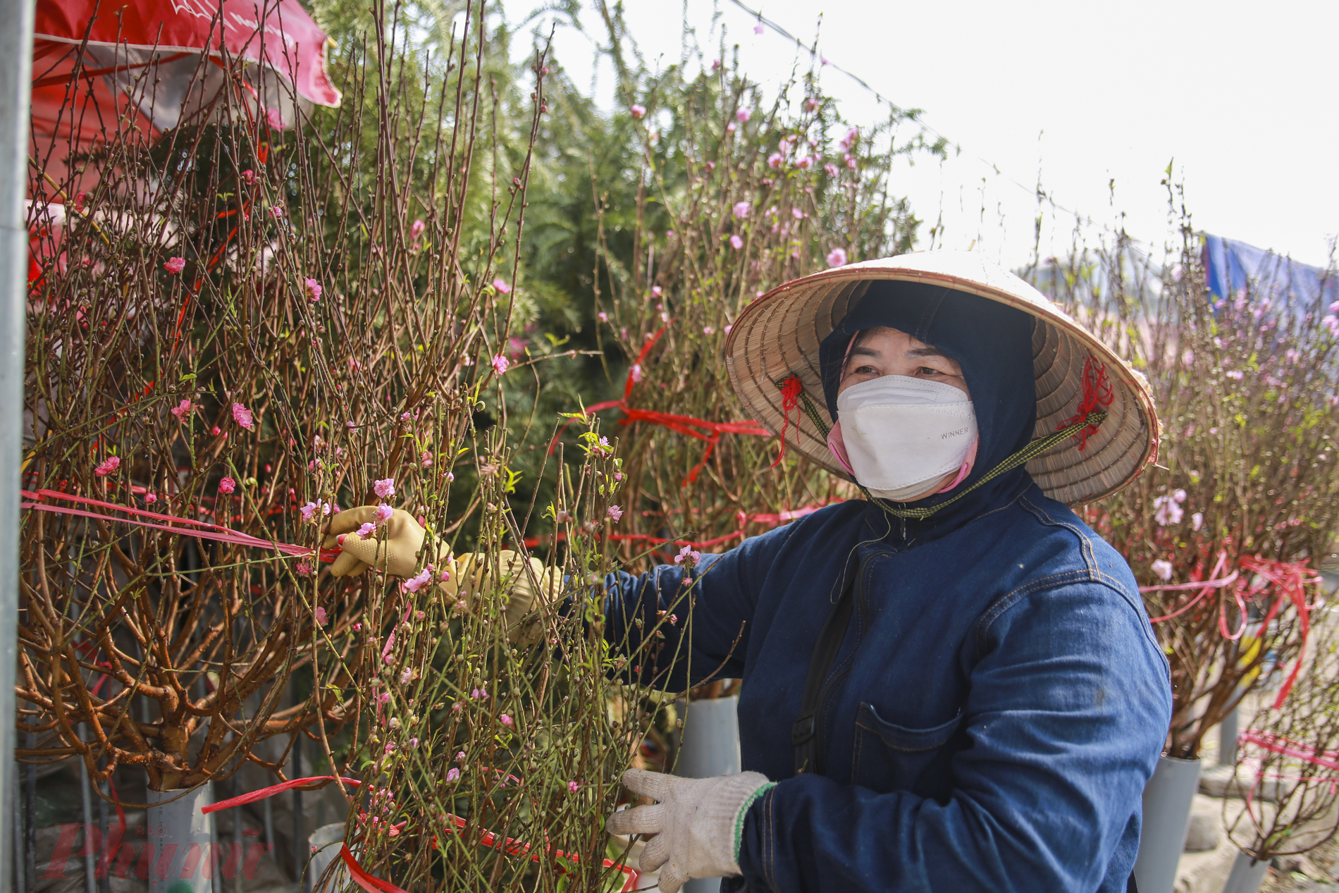 Chị T&acirc;m Linh (50 tuổi), một tiểu thương b&aacute;n đ&agrave;o tại chợ Quảng b&aacute; cho hay: ' Đ&agrave;o sớm được b&aacute;n phần lớn để phục vụ cho d&acirc;n chơi đ&agrave;o v&agrave;o dịp Tết Dương lịch v&agrave; Noel n&ecirc;n gi&aacute; cả đắt hơn ch&iacute;nh vụ. Do dịch bệnh n&ecirc;n sức mua giảm, t&ocirc;i kh&ocirc;ng gi&aacute;m nhập b&aacute;n nhiều. Mọi người đến xem đ&agrave;o đ&ocirc;ng lắm, nhưng &iacute;t người mua. Mong đến gần Tết &Acirc;m lịch sẽ b&aacute;n được nhiều hơn.&rdquo;