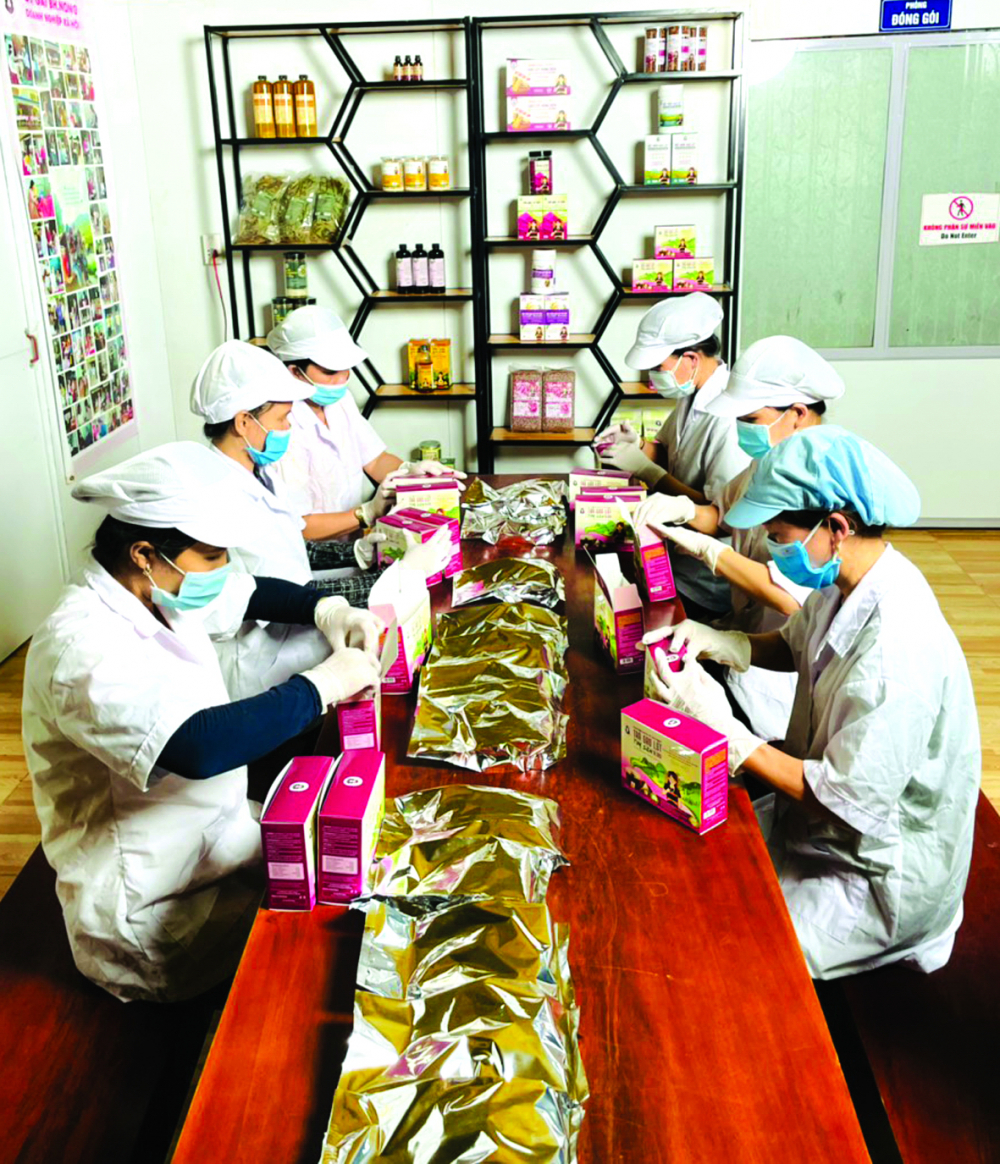 Cảnh sản xuất trong nhà máy