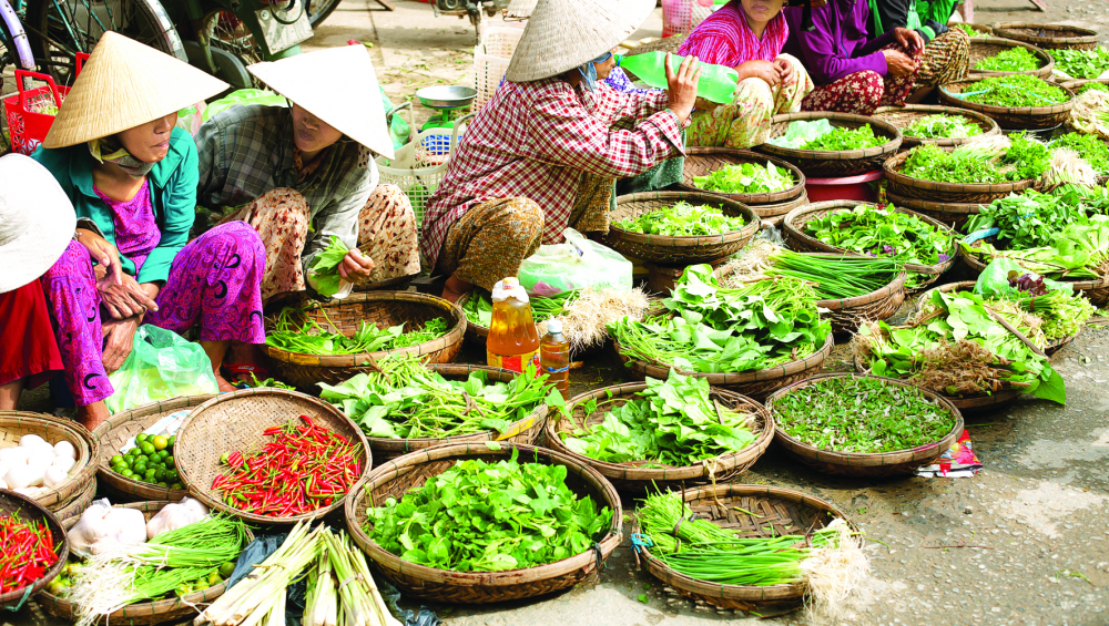 Ai biết được để c&oacute; những b&oacute; rau mơn mởn kia l&agrave; bao nhi&ecirc;u ng&agrave;y  người trồng phải d&agrave;y c&ocirc;ng chăm s&oacute;c
