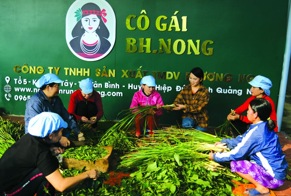 Chị em nhân viên sản xuất lá xông trong mùa dịch