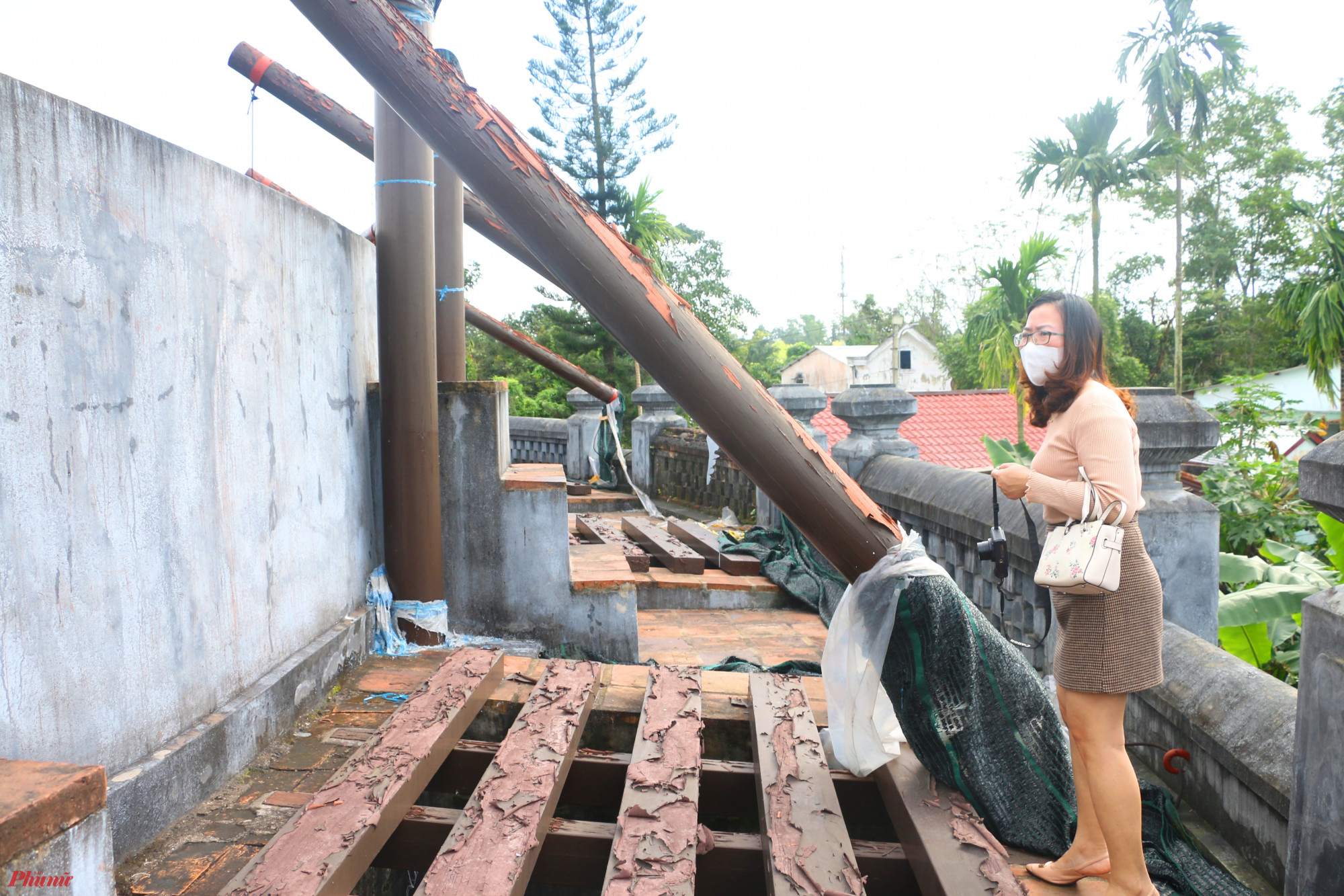 Khu vực cửa nh&oacute;t Hổ trước khi ra giao đấu với Voi