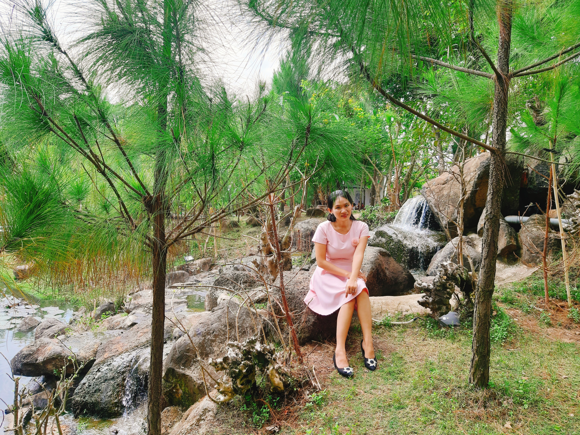Th&ocirc;ng xanh r&igrave; r&agrave;o.