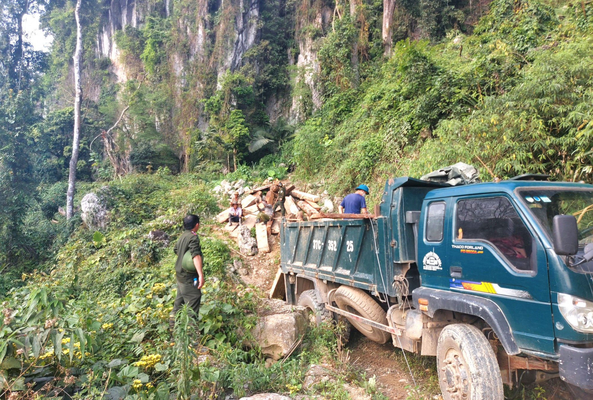Khu vực nơi rừng bị chặt ph&aacute;