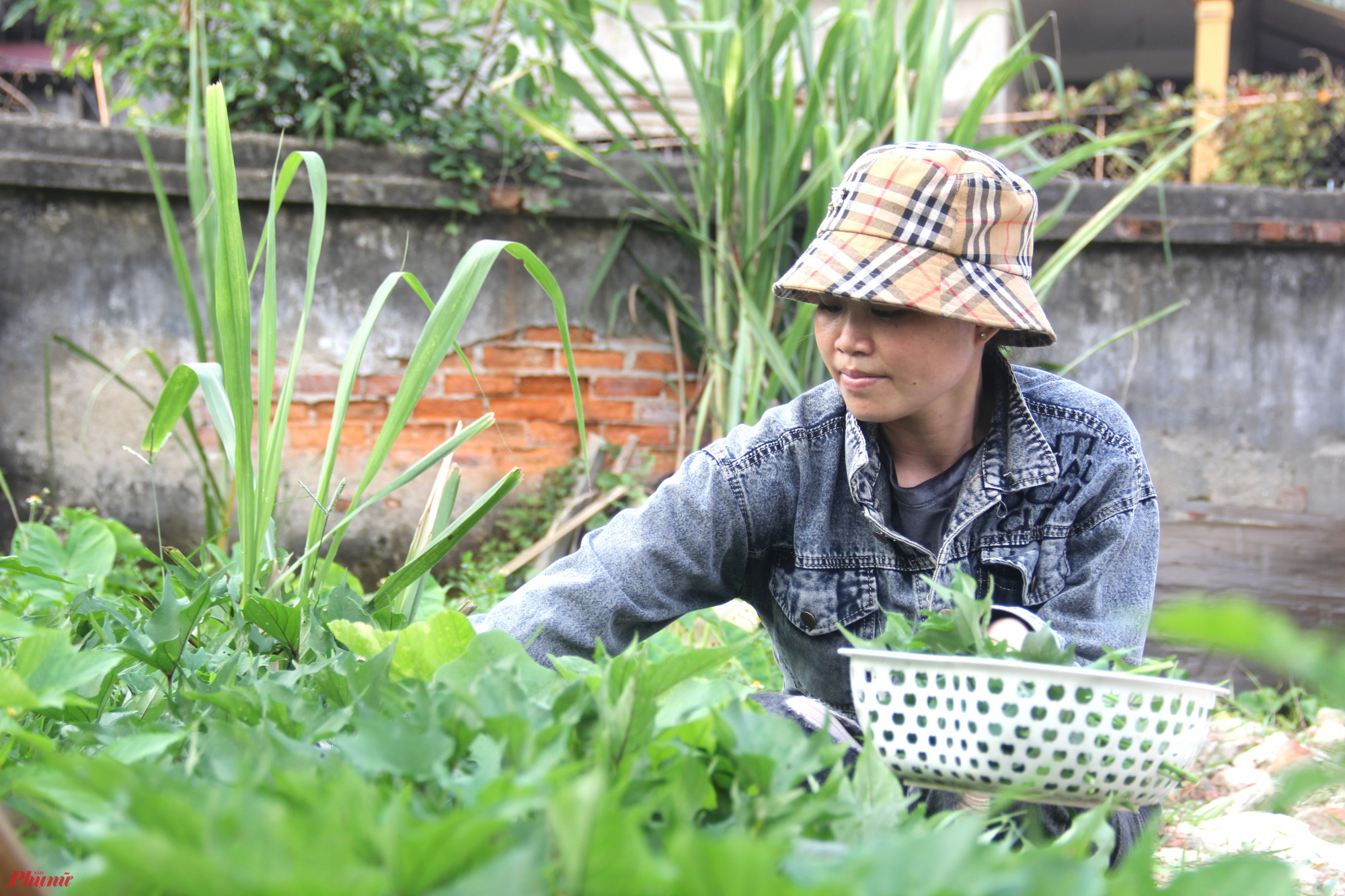Những ng&agrave;y mệt kh&ocirc;ng thể đi l&agrave;m, chị &Acirc;u chỉ c&oacute; thể quanh quẩn b&ecirc;n chồng, chăm lo những luống rau xanh 2 vợ chồng vun v&eacute;n bấy l&acirc;u nay