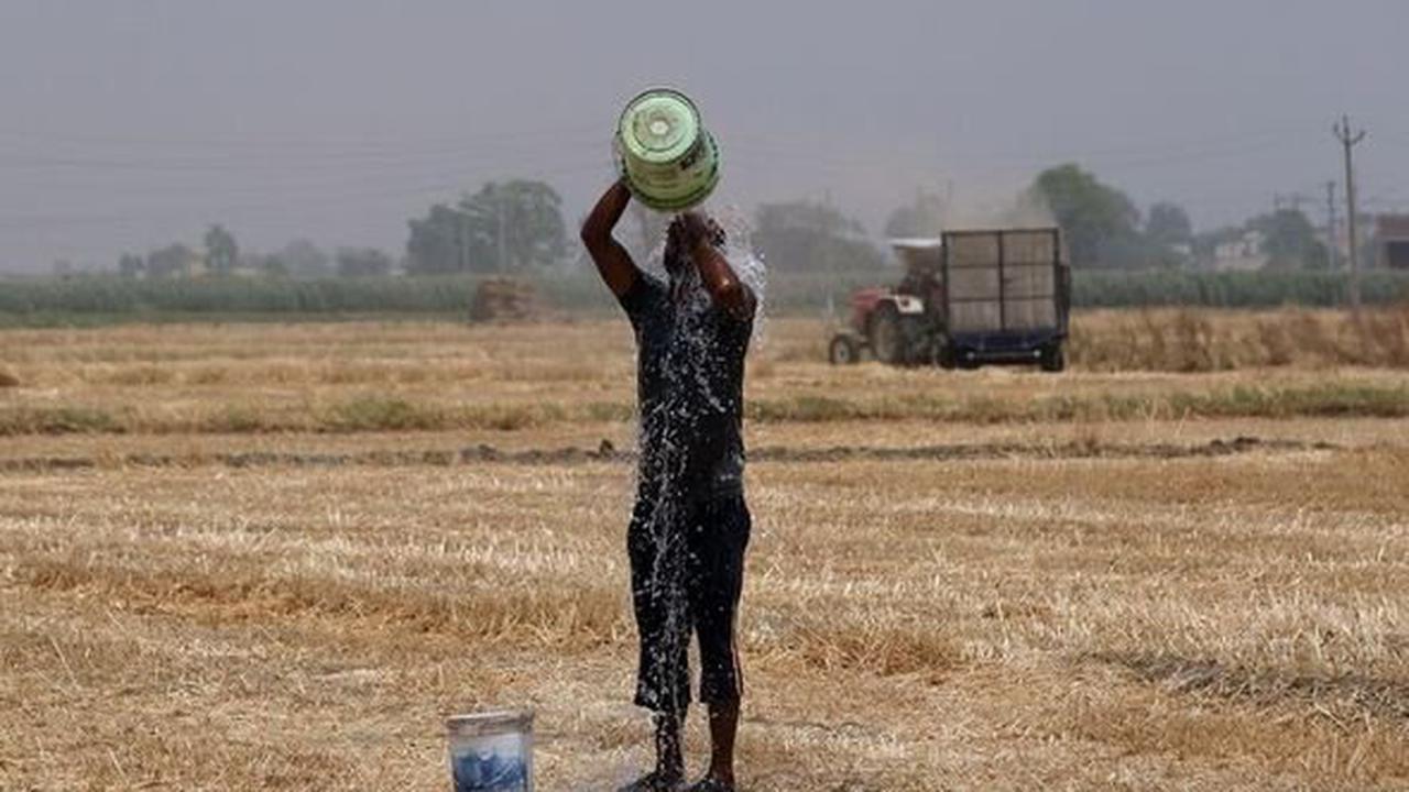 Nhiệt độ tr&ecirc;n c&aacute;nh đồng c&oacute; l&uacute;c l&ecirc;n đến 47.2 &deg;C - Ảnh: T. Narayan/Bloomberg News