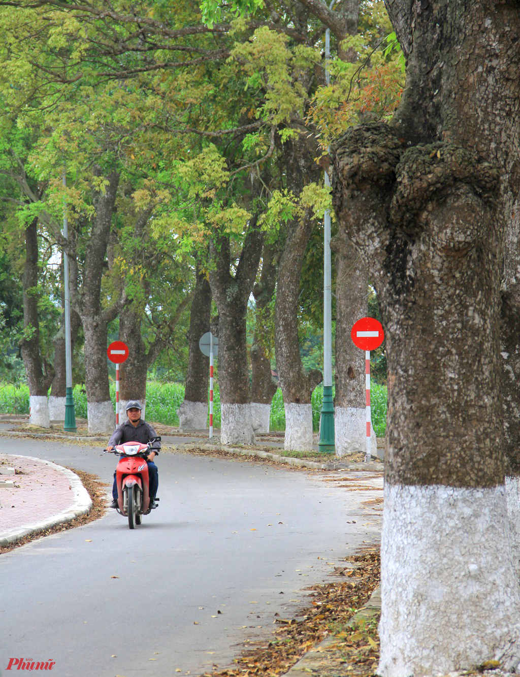&ldquo;Thời điểm đ&oacute;, tỉnh cho mở đường nhưng y&ecirc;u cầu phải giữ bằng được hai h&agrave;ng c&acirc;y x&agrave; cừ hai b&ecirc;n đường. Để giữ h&agrave;ng c&acirc;y, đơn vị thi c&ocirc;ng đ&atilde; phải giữ nguy&ecirc;n hiện trạng tuyến đường, mở th&ecirc;m một l&agrave;n b&ecirc;n cạnh th&agrave;nh ra đường n&ecirc;n b&acirc;y giờ mới th&agrave;nh h&igrave;nh cong uốn lượn như vậy&rdquo;, &ocirc;ng Lộc n&oacute;i.