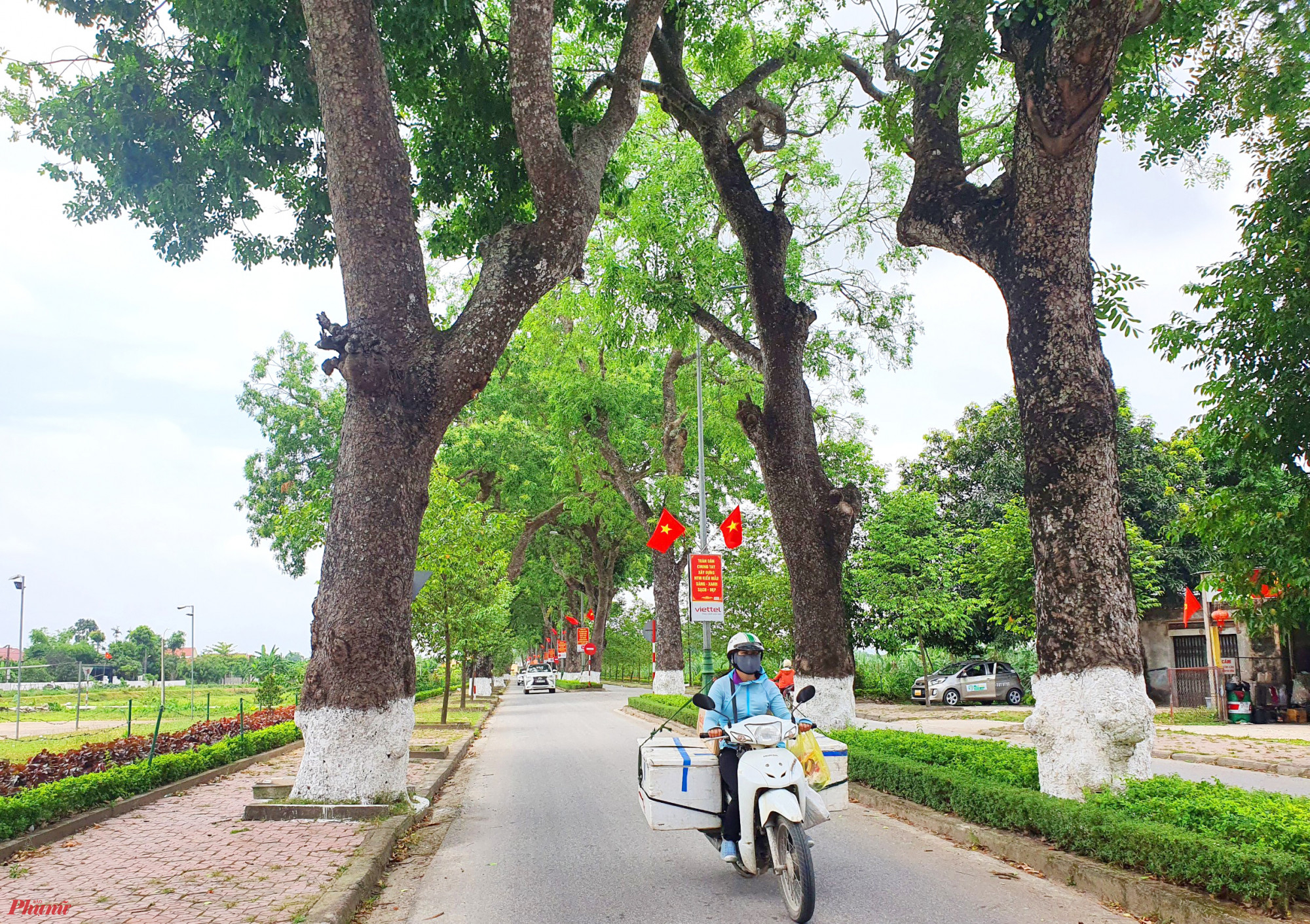 Th&aacute;ng 5 về, nắng bắt đầu v&agrave;ng hơn, bầu trời cao v&agrave; trong hơn, cũng l&agrave; thời điểm sinh nhật B&aacute;c Hồ. Dịp n&agrave;y, Khu Di t&iacute;ch Quốc gia đặc biệt Kim Li&ecirc;n (x&atilde; Kim Li&ecirc;n, huyện Nam Đ&agrave;n, Nghệ An) lại đ&oacute;n h&agrave;ng vạn đo&agrave;n kh&aacute;ch trong v&agrave; ngo&agrave;i nước đến tham quan v&agrave; d&acirc;ng hoa l&ecirc;n Chủ tịch Hồ Ch&iacute; Minh.